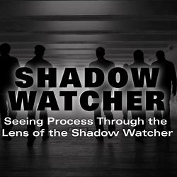 Shadow Watcher Training to Keep Group Dynamics Functioning Well